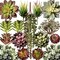 Artificial Succulent Plants Fake Assorted - 16 Pack (16 Pcs Assorted Succulents) 1.6"D x 1.6"W x 13.2"H